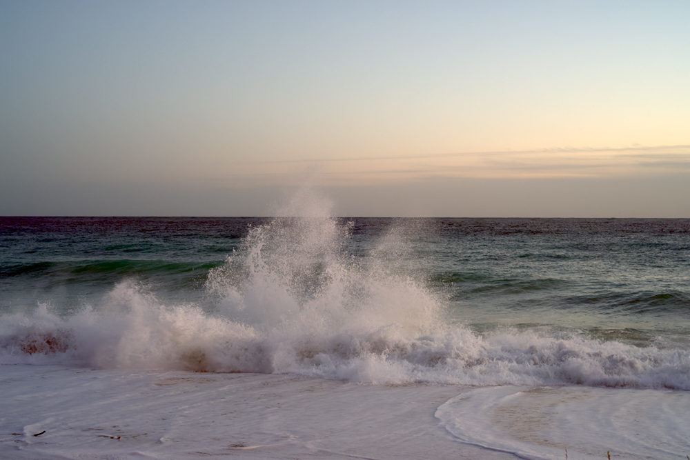 2023-005-0614-roby_ferrero-DxO_DeepPRIME XD3 X-Trans-cp-BPTails_minimum.jpg