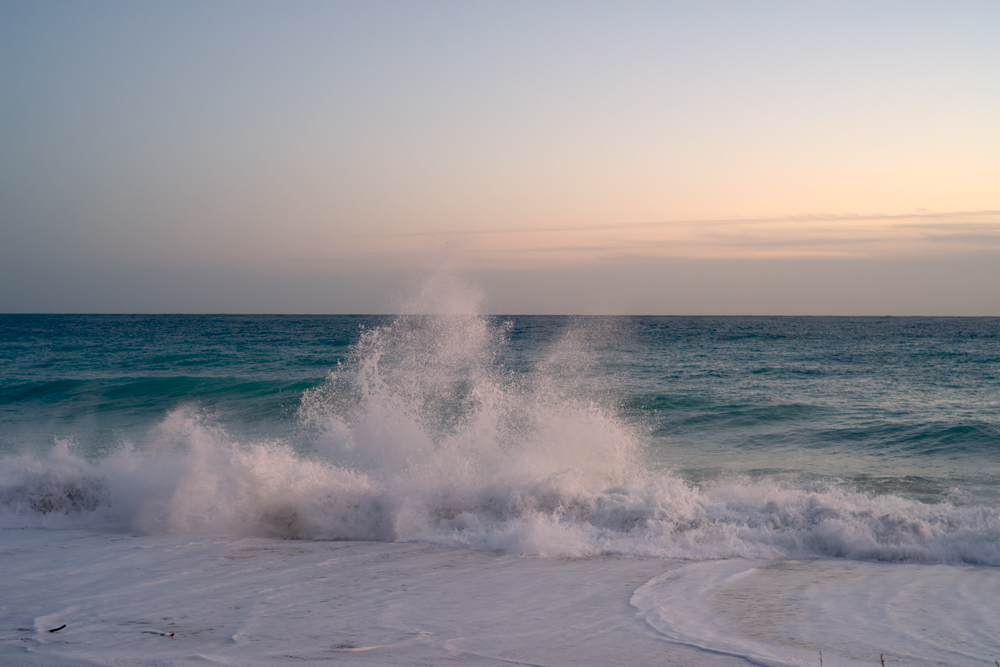 2023-005-0614-roby_ferrero-DxO_DeepPRIME XD3 X-Trans-cp-BPTails_off-BP_off.jpg