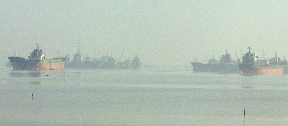 BPTails OFF Crop