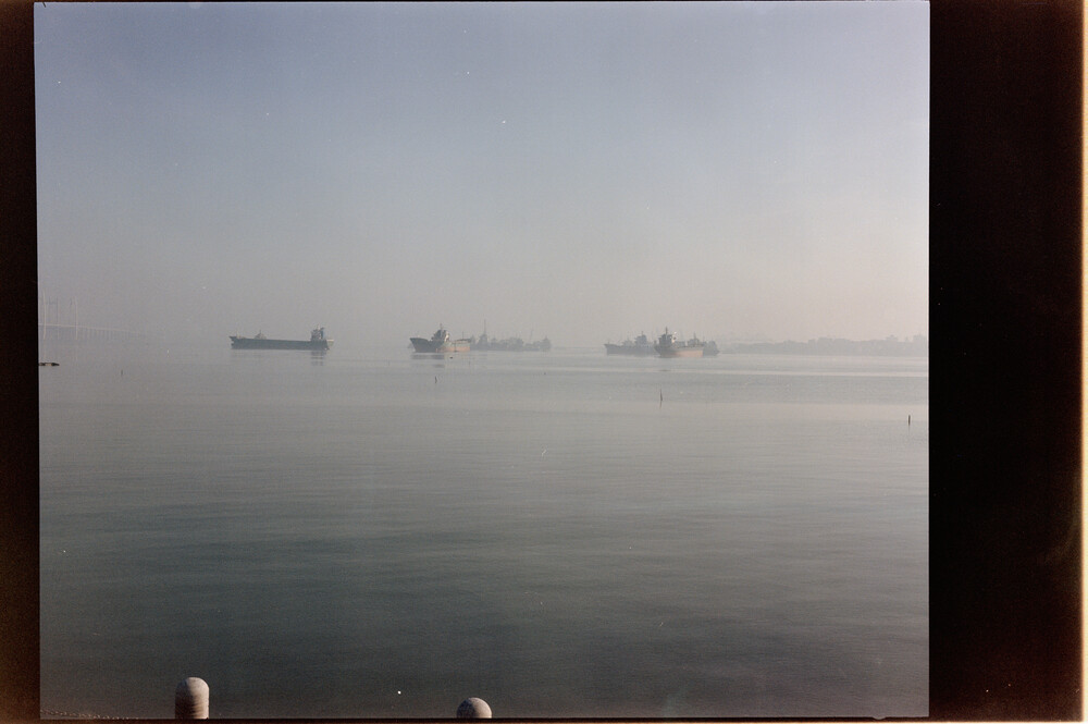 _DSC1505_ngt.jpg