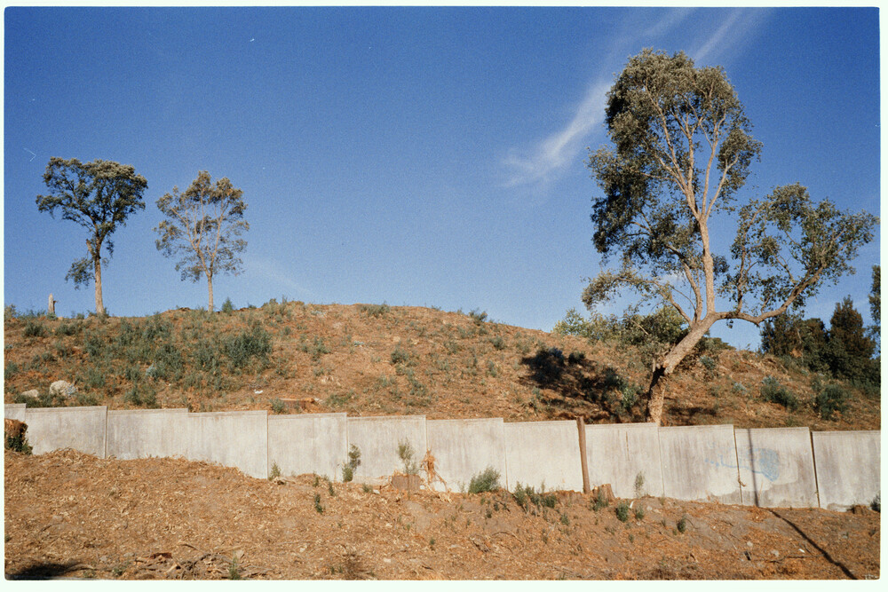 050925-HarmanPhoenixII-LeicaM2-PixelShift_12_ngt.jpg
