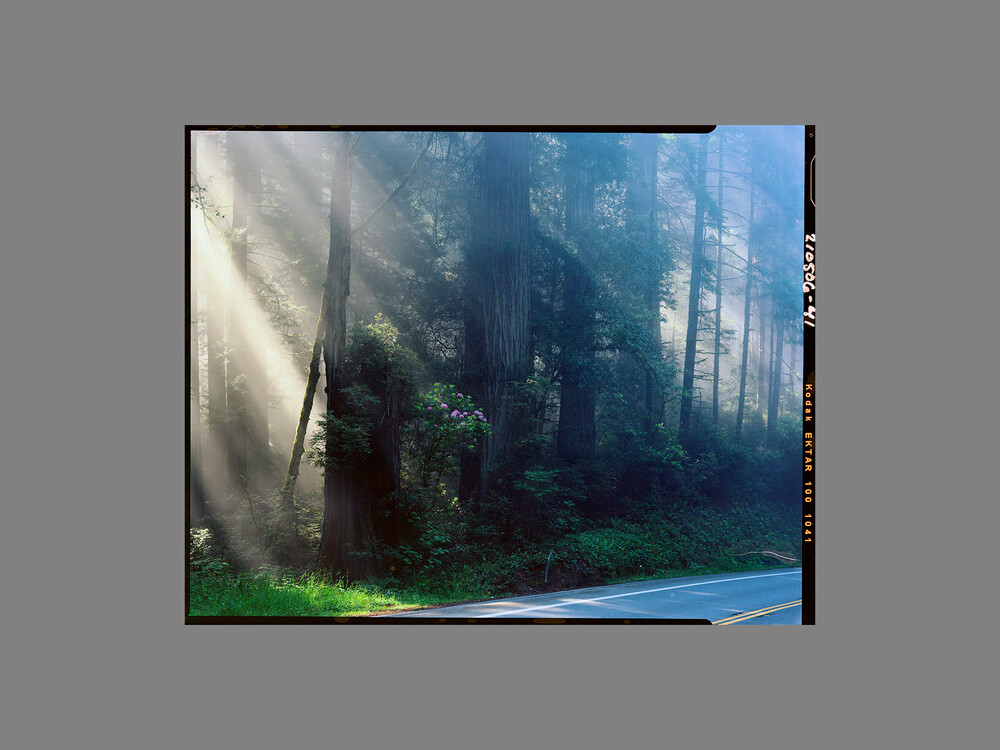 Ektar-cp-E.jpg